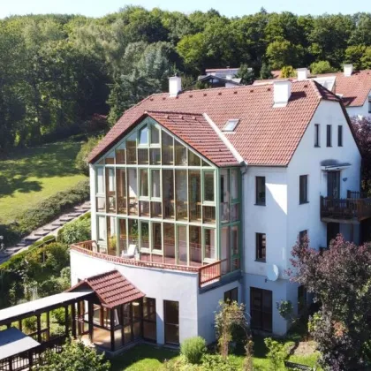 Unverbaubarer Wienerwaldblick in außergewöhnlicher Doppelhaushälfte am Sagberg - Bild 3