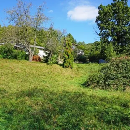 Baugrundstück auf Südhang in traumhafter Grünruhelage in der Kaiserbrunn - Bild 3