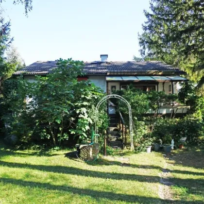 Ebenes Grundstück mit Althaus und Bebauungsstudie in der Vorderbrühl in Mödling - Bild 3