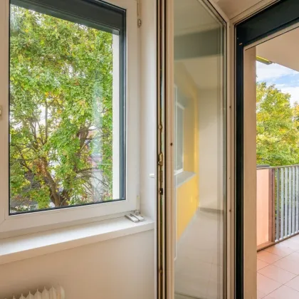 * frisch sanierte 3 Zimmer Wohnung in Laxenburg * - Loggia, KFZ Stellplatz inklusive! - Bild 3