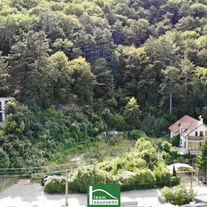 Wieder normale Preise. Gartenwohnung mit eigenem Eingang, Neubau in Hanglage beim Wald | amBergblick19 - Bild 3