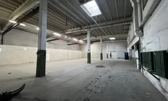 Gewerbepark Traiskirchen! ca. 4500 m² Halle mit 2 Rampen auf einer Ebene!