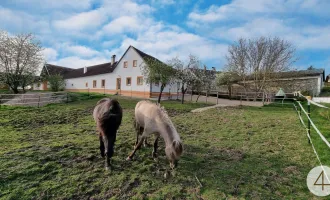 PROVISIONSFREI-Generalsanierter 4-Kanter für Pferdehaltung, 3 Hektar