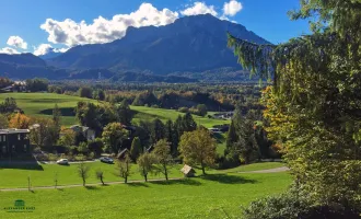 Baugrundstück in Hanglage mit unverbaubarem Blick