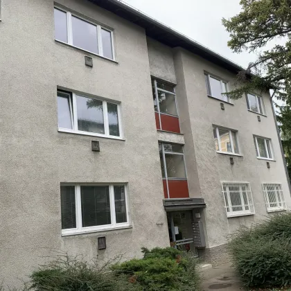 Einzigartige Wohnung in 1140 Wien - 77m², Balkon - Bild 2