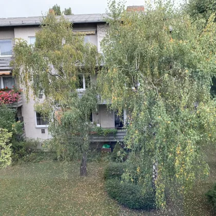 Einzigartige Wohnung in 1140 Wien - 77m², Balkon - Bild 3