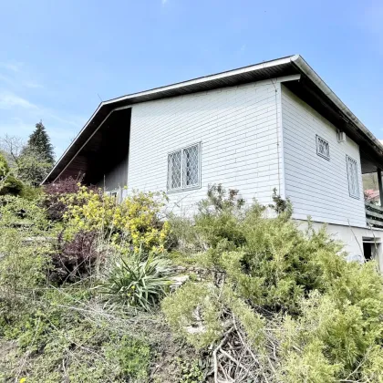 Freistehendes Einfamilienhaus in idyllischer Top-Lage | Wienerwald Panorama - Bild 3