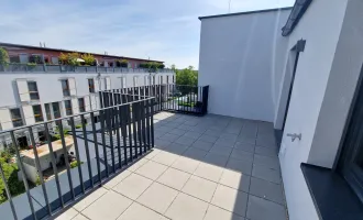 Dachgeschoßwohnung mit 19m2 Terrasse | 2-Zimmer Wohnung | Ausrichtung Nord-Osten