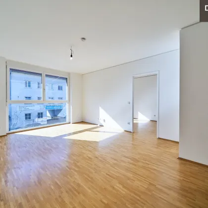 | 2 MONATE MIETZINSFREI | 2 ZIMMERWOHNUNG | MIT ALLGEMEINEM DACHGARTEN | GUTE ANBINDUNG | 2. STOCK - Bild 3