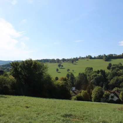 Für Jeden richtig fein - Groß – Mittel – Klein! Traumhafter Südhang mit Weit- und Grünblick! - Bild 2