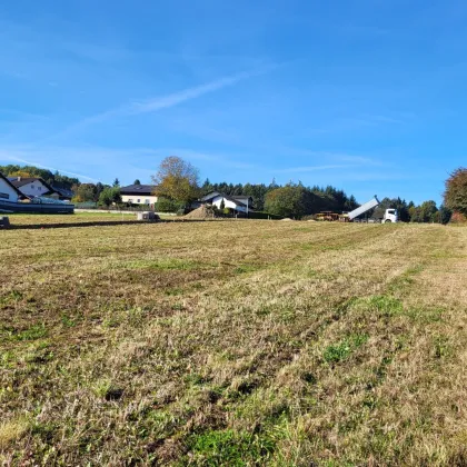 Gepflegte Nachbarschaft wunderschöne Lage - Bild 3