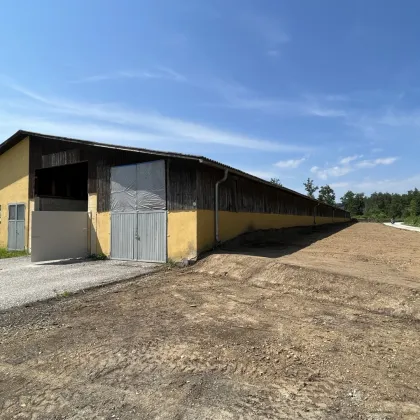 ++Große Halle mit ca. 2200m² im Gewerbepark in Völkermarkt++ - Bild 2