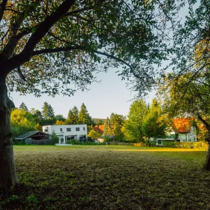 Baugrundstück in begehrter Lage am Bartberg - Bild 2