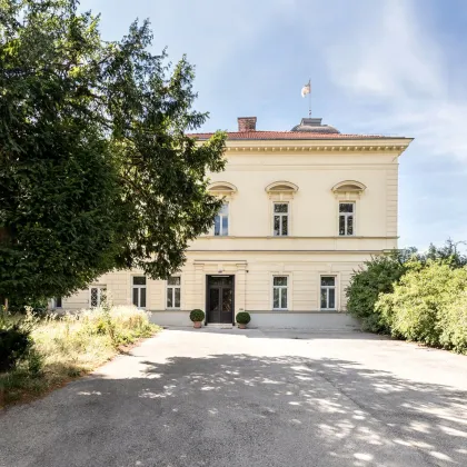 VILLA SEUTTER - freistehende, historische Villa mit Wientalblick & 3.221m² Grund! 24 Zimmer und über 900m² Bestandsfläche! Potenzial auf mehr als 2.500m² Wohnnutzfläche! - Bild 3