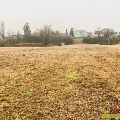 Gewerbe-Baugrund mit hoher Dichte. - Beste Erreichbarkeit nahe dem Zentrum von Kalsdorf. - Bild 2