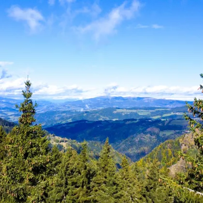 Baugrundstück der Extraklasse auf der Koralpe: 1309,3m² Sonnentraum mit Skipisten-Nähe, ohne Baupflicht und Panoramablick nach Wolfsberg! - Bild 3