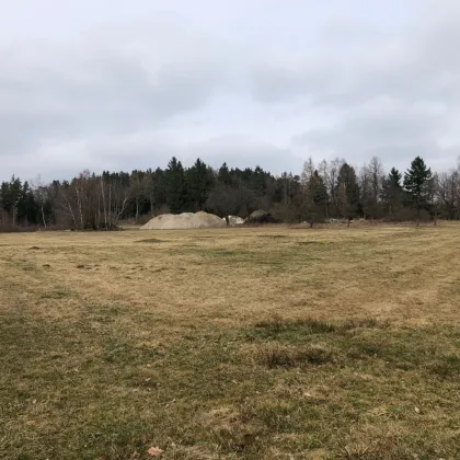 3,2 ha großer aufgeschlossener Baugrund im Bezirk Gmünd/NÖ - Bild 2