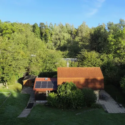 Preisreduktion! Ca. 3.470 m2 großes Grundstück bei Klosterneuburg I Ruhe und Schönheit der Natur genießen I - Bild 3