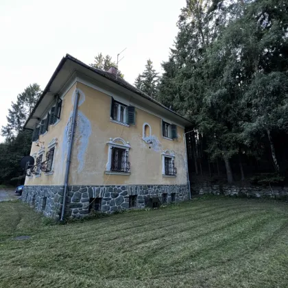 Villa Awart mit 7 Zimmern, Garten, Balkon, Terrasse uvm. für 490.000,00 € in nähe Aspang-Markt - Bild 3