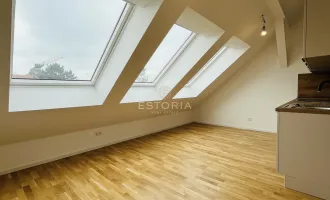 Dachgeschosswohnung mit kleiner hofseitigen Terrasse, inkl. Küche zum Bestpreis in 1220 Wien - Eigengrund!