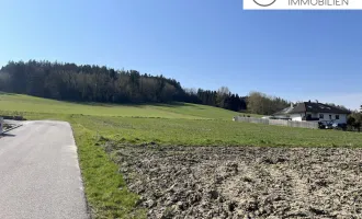 Sonniges Baugrundstück in Kematen am Innbach!