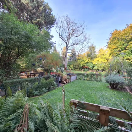 TOP-Anlage oder wunderschönes Eigenheim: flexibel nutzbare Zinsvilla mit prachtvollem Garten bei Schönbrunn - Bild 2