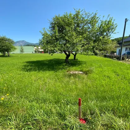 Großzügiger Baugrund zu kaufen  - ein ruhiger Bauplatz für Ihr Zuhause! - Bild 3