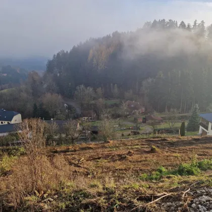 SONNIGES TERRAIN mit auffallend schöner AUSSICHT in absoluter RUHELAGE zwischen 600 bis 3190 m² - Bild 2