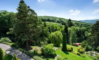 *** SPACIOUS STATELY HOME WITH TWO VILLAS - WITH ITS OWN PARK AND VIEW OVER THE VIENNA WOODS ***