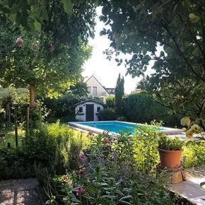 Hübsches Einfamilienhaus mit Garten und Swimming-pool  Nähe Lobau! - Bild 3