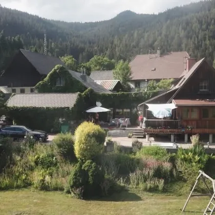 Natur- und Tierparadies: Landhaus mit großem Grundstück in Spital am Semmering zu verkaufen - Bild 3