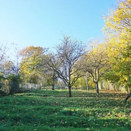 Für Naturliebhaber und Bergfexe! Liegenschaft im Augustinerwald mit Traumausblick - Bild 2