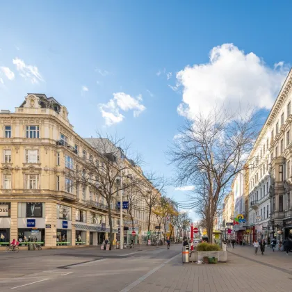 Projekt Apollogasse: ERSTBEZUG: rd. 920 m² große Gewerbefläche mit großzügiger Lagerfläche im Untergeschoss zu mieten // Edelrohbau // Ende 2024 - Bild 3