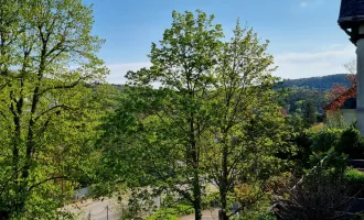 Ersetze Stadtgewühl durch Blick auf Hinterbrühl