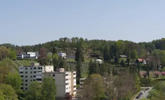 Großzügige Wohnung mit Loggia und top Fernsicht für Familien und WG-geeignet!