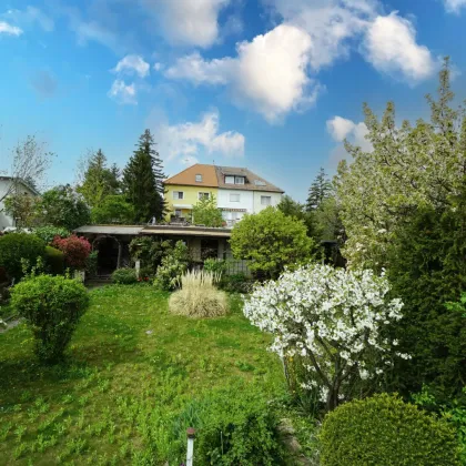 Entzückendes Einfamilienhaus in gekuppelter Bauweise in ruhiger Gartensiedlung Nähe Steinhofgründe - Bild 2