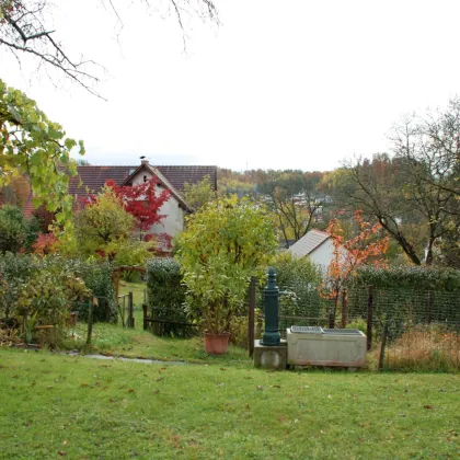 Kleinwohnung im Gästehaus - Bild 2