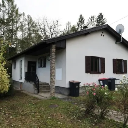 Einfamilienhaus am Ortsrand mit 1.040m² Grund - Bild 3