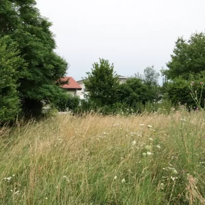 Baugrundstück am nordwestlichen Ortsrand von Parndorf - Bild 2