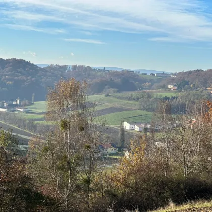 Idyllisches Grundstück mit Berg- und Fernblick in der Südoststeiermark!!!  2 BAUGRUNDSTÜCKE ZU EINEM PREIS!!! - Bild 3