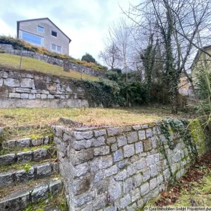 Stadthaus in Mauthausen für Bauträger zu verkaufen - Bild 3