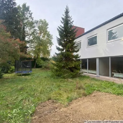Sanierungsbedürftiges Wohnhaus im Zentrum von Wels zu verkaufen - Bild 3