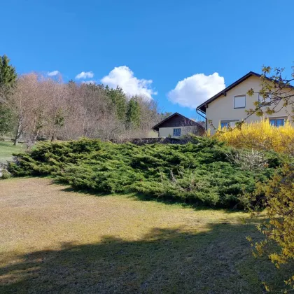 Pferde- und Tierliebhaber aufgepasst! Sehr gepflegtes Ein- bzw. Mehrfamilienhaus in Messern im schönen Waldviertel mit großem Grundstück für Tierhaltung geeignet (ca. 5.024 m²), wunderschöner Fernsicht und in Ortsrandlage! - Bild 2