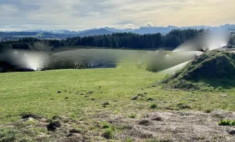 Traumhafte Eigenheim-Lage: Grundstück am Ortsrand von Kirchberg bei Mattighofen