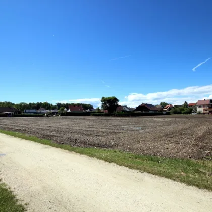 Noch zwei Parzellen nähe Stadtzentrum ab 634 m² bis 666 m² in Ebenthal - Rain - Bild 2