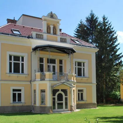 Dachterrassen-Maisonette im Altbau in sensationeller Zentrumslage mit Wienerwald-Blick - Bild 2