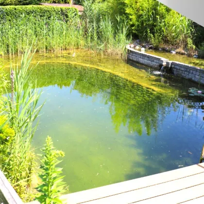 TRAUMHAUS | Inklusive großzügiger Garten mit Schwimmteich, Balkon, Terrasse, Garage & mehr - Bild 2