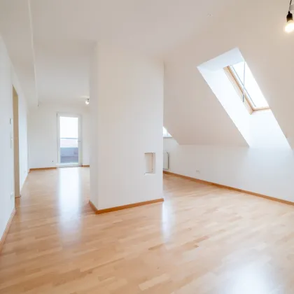 Moderne 3 Zimmerwohnung in Pottenbrunn - Bild 3