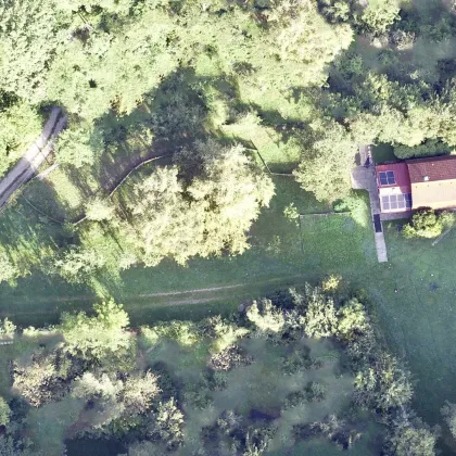 Preisreduktion!!!! ca. 3.470m2 Grund I ganzjährig wohnen in unberührter Natur I - Bild 3