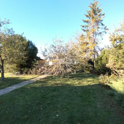 Baugrundstück mit 1200 m² in ruhiger Siedlungslage in Parndorf - Bild 3